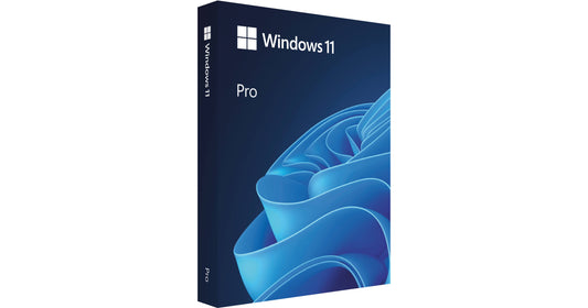 Windows 11 Pro 64-Bit USB